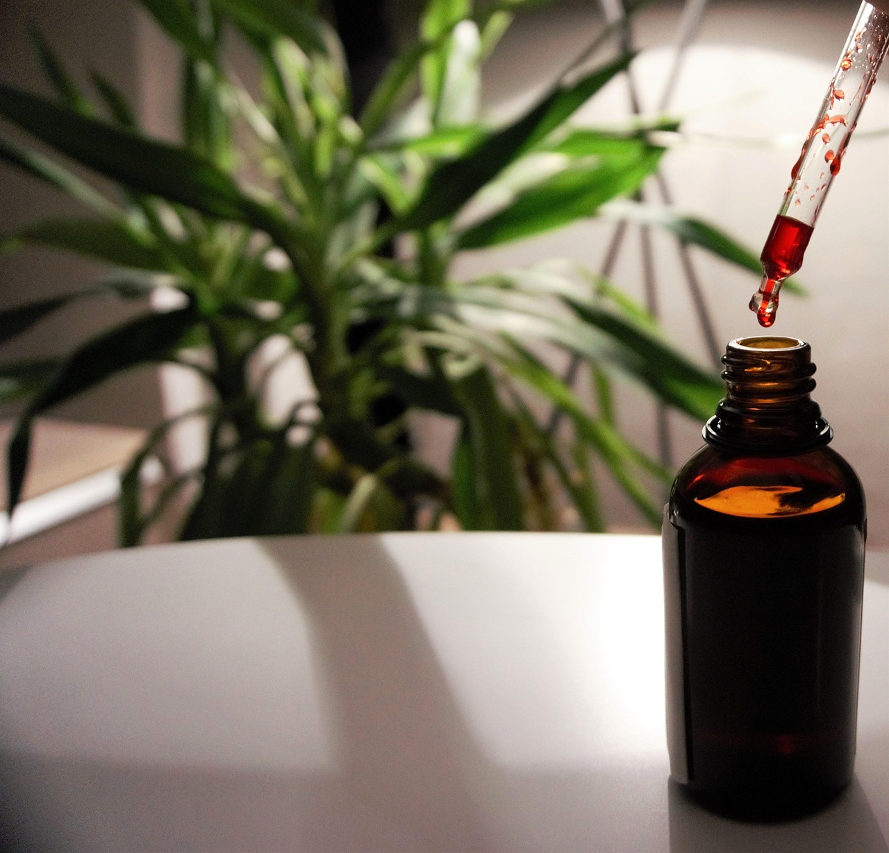 Fiber supplements and immune system support